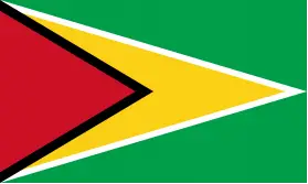 Flag of Guyana
